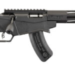 RUGER PRECISION® RIMFIRE 22 WMR