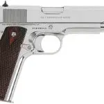 Colt 1911 Pistol 45 ACP 5" Bright Stainless 8 rd.